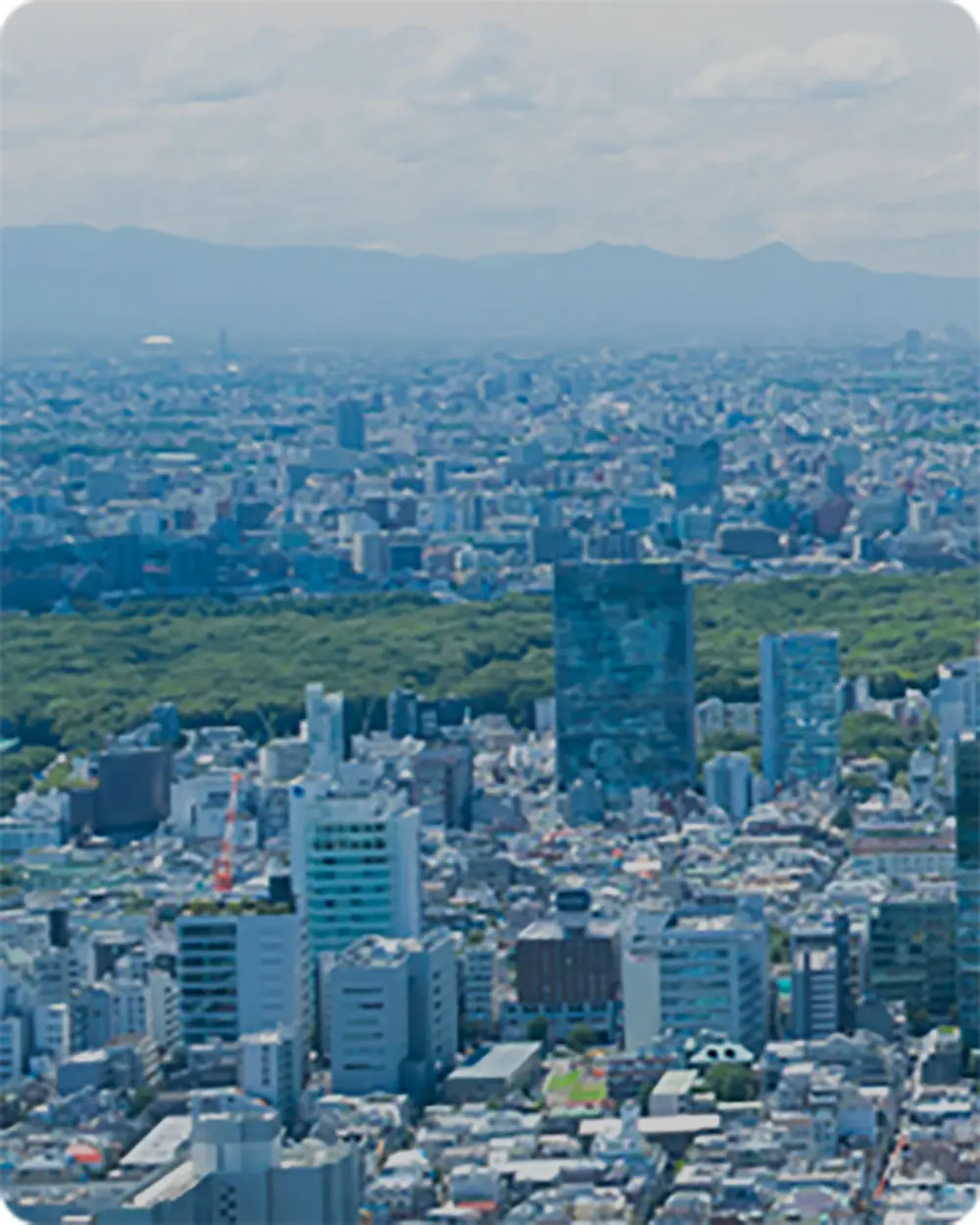 都市の街並み